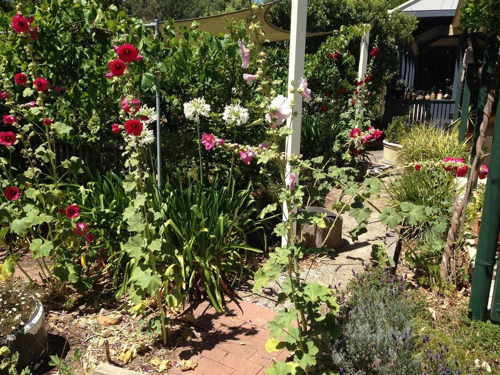 Clarevale Cottage B&B Bagian luar foto